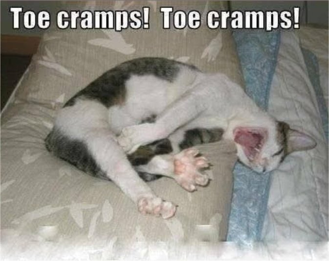 toe cramp caturday majorgeeks.jpg